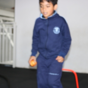 Día de la Actividad Física